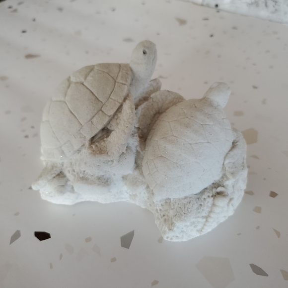 Sand-Deco SandStone Figure Of 2 Sea Turtles On Coral And Sea Shells - Picture 6 of 7